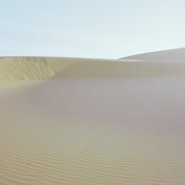 Dune by Mike Stacey