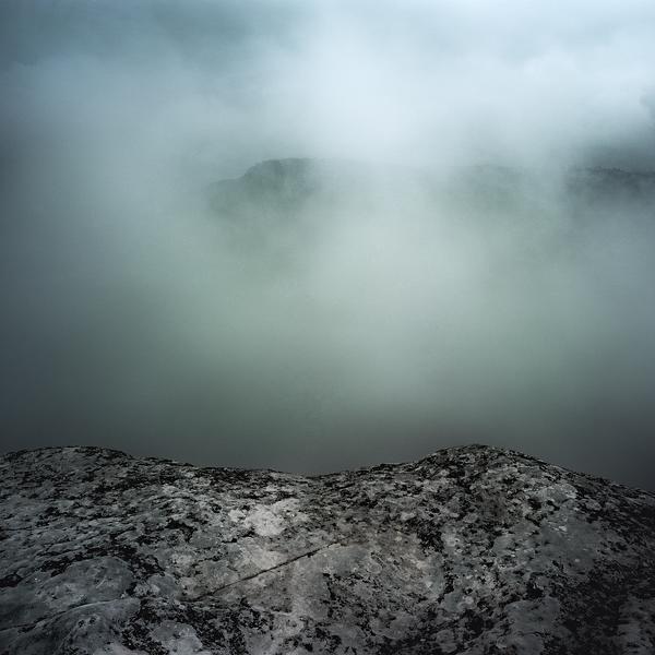 Organic Matter by Mike Stacey