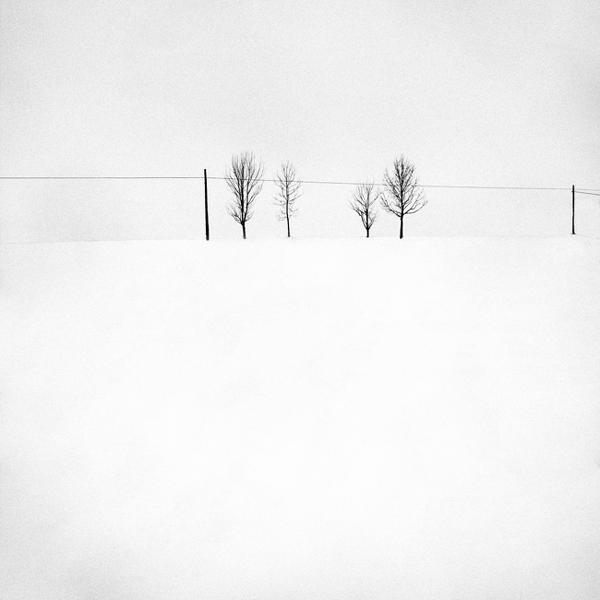 Winterly Haiku 4357 by Andrei Baciu
