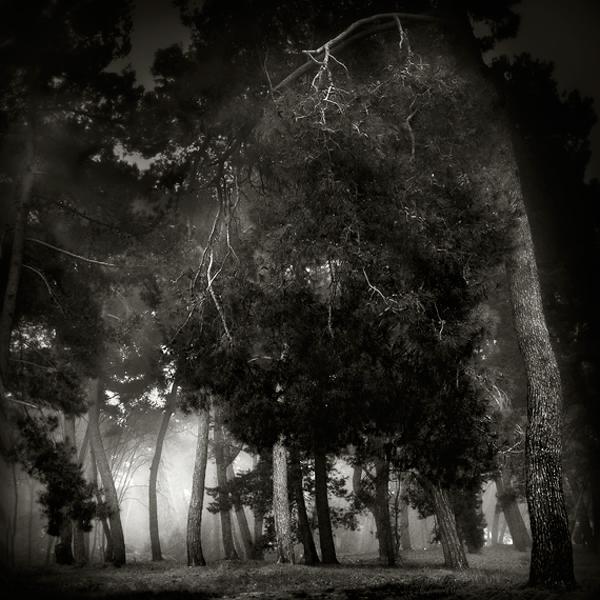 Fog Is Coming par Karmen Orlic Grzetic