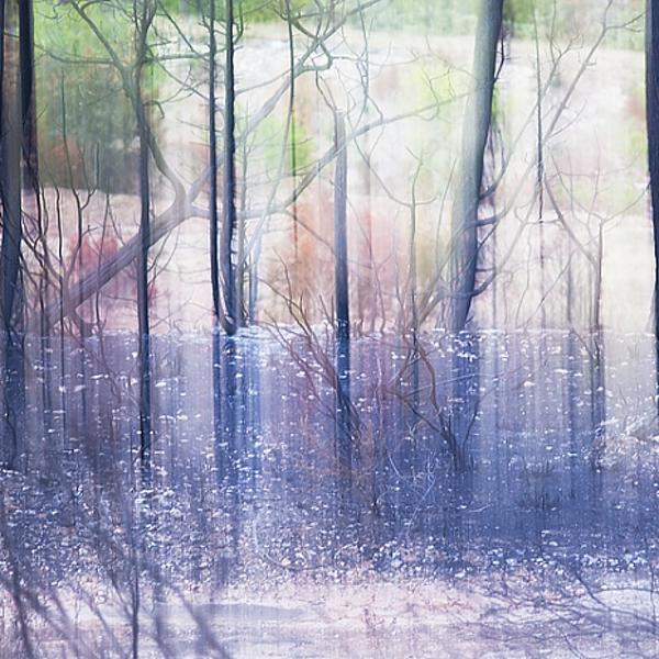 After The Fire #1 by Diana Bodea