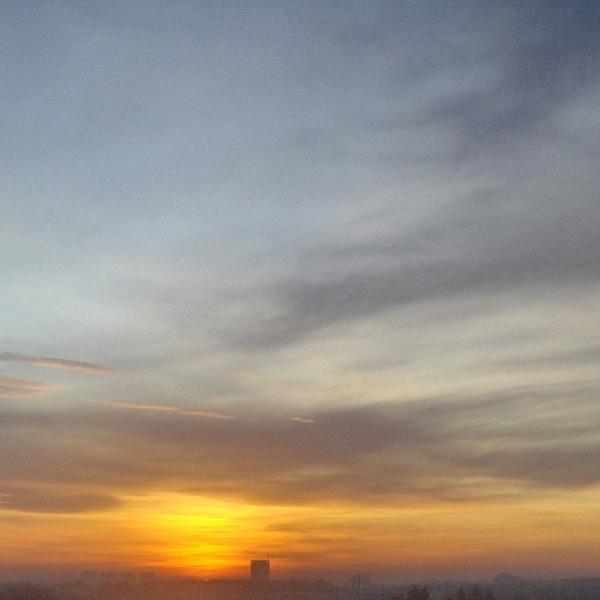 Good Morning By Marijana Filipovic by Marijana Filipovic