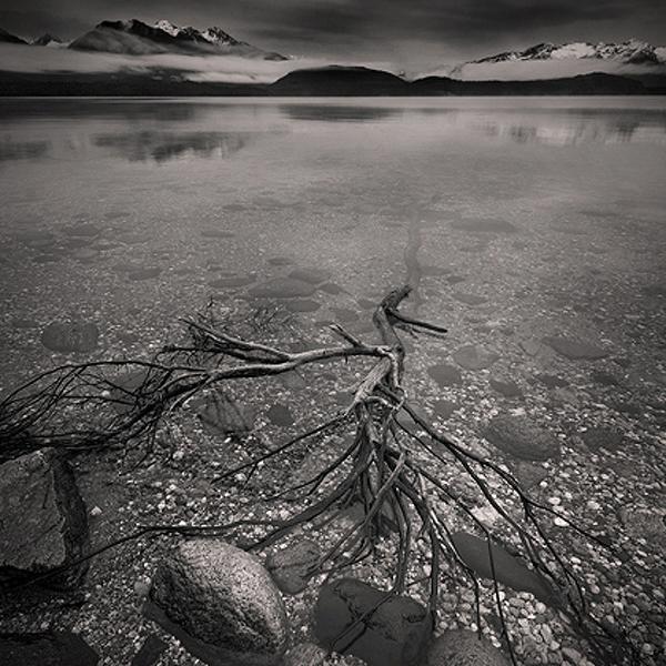The Dark Lake by Steve Allsopp