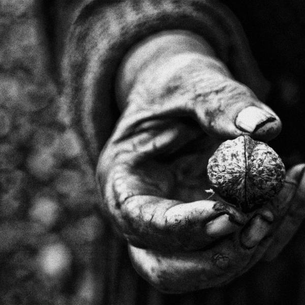 Hand by Daniel T&oslash;miuc