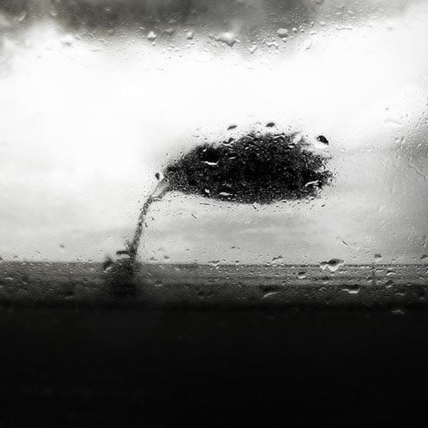 Do Not Bow Your Head In Fear by Richard Sammour