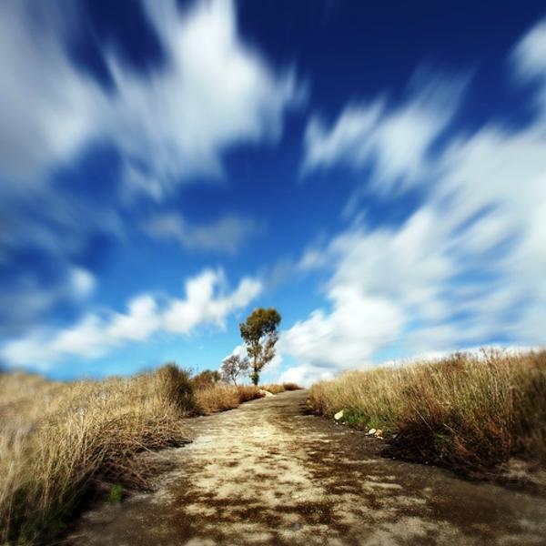 There Is Only One Road by Richard Sammour