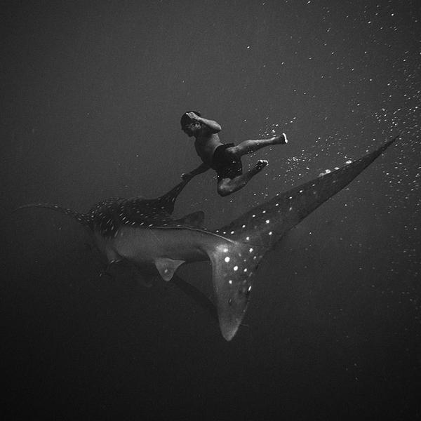 Whalerider by Hengki Koentjoro