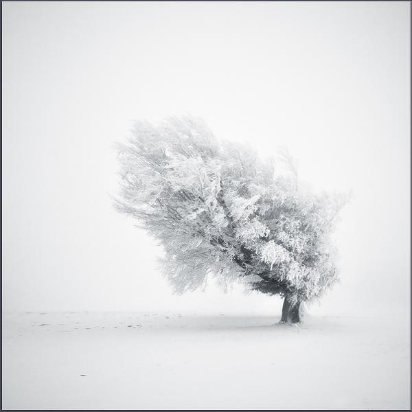 Untitled by Michael Schlegel