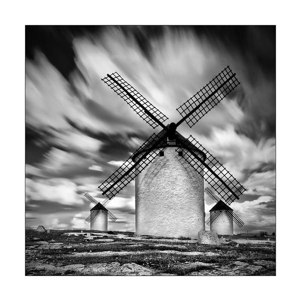 Don Quijote by Paolo Bergamelli