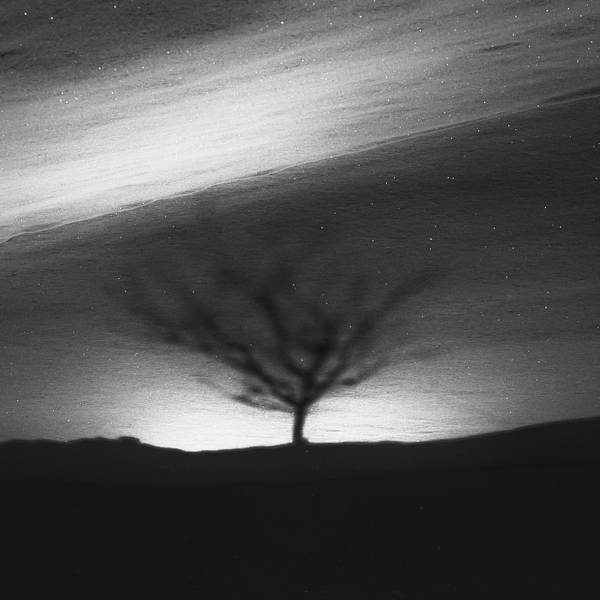 Mirage by Mara Mitchell