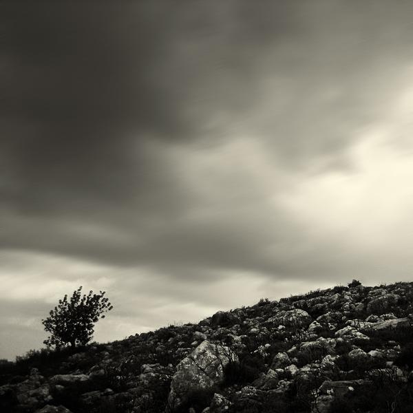Img_0927 by Hassan Jaber