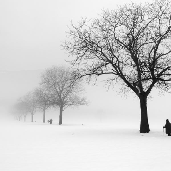 avec le coeur en paix vers by Pierre Pellegrini