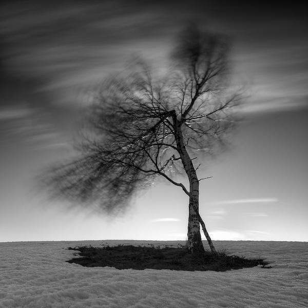wind by Pierre Pellegrini
