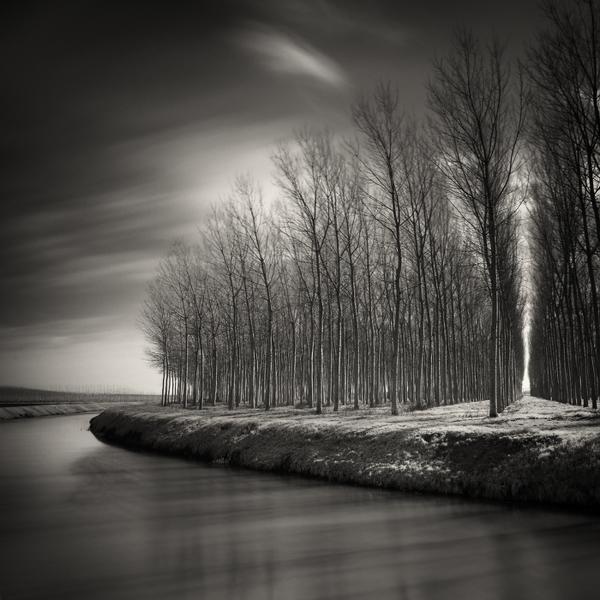 Spring Light by Pierre Pellegrini