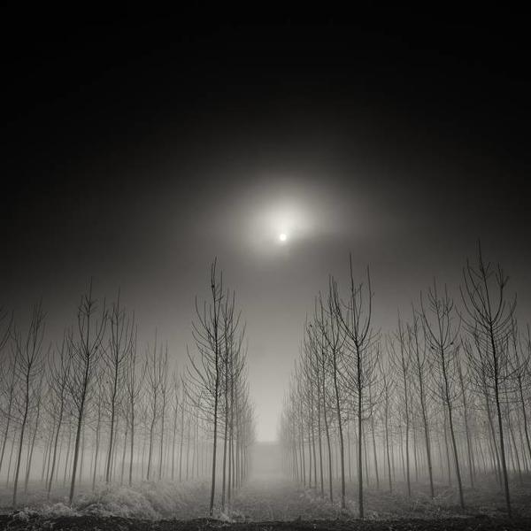 Dusk by Pierre Pellegrini