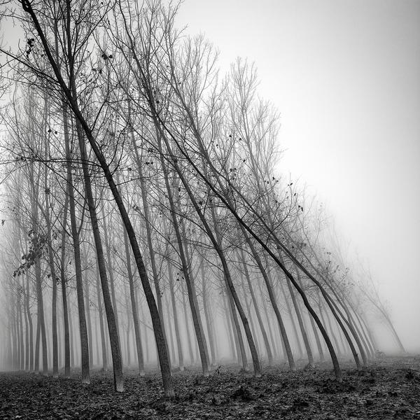 Water And Wind, The Force Of Nature by Pierre Pellegrini
