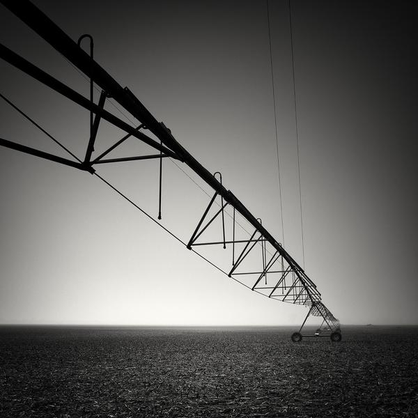 Fields At Rest by Pierre Pellegrini
