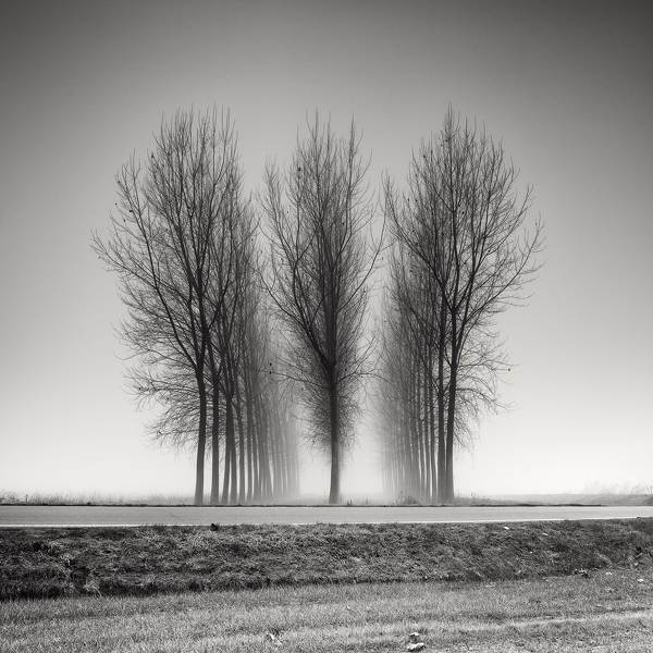 Three Neat Rows by Pierre Pellegrini