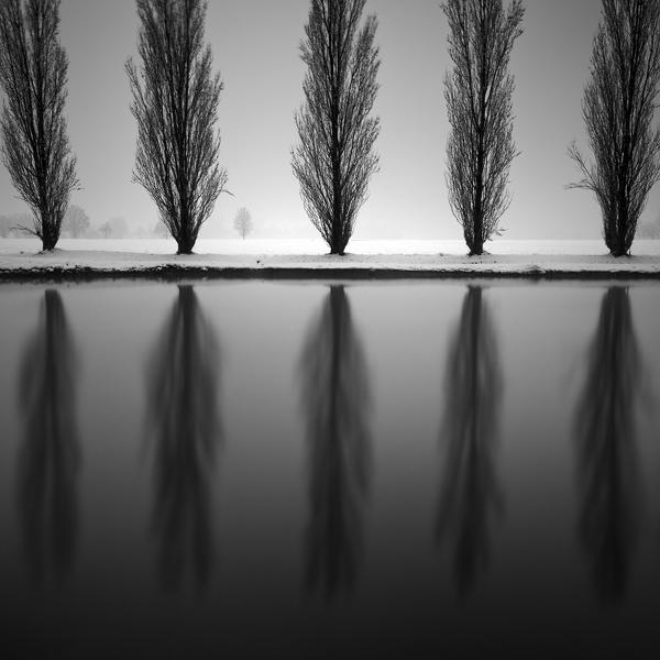 Graphical Nature by Pierre Pellegrini