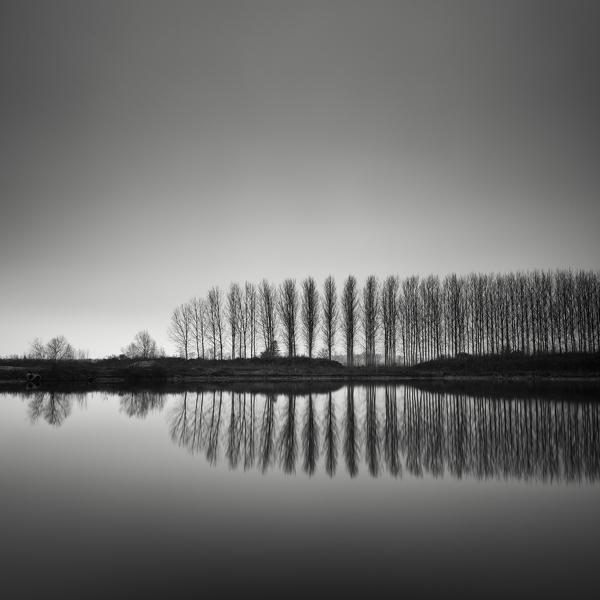 Slow Awakening by Pierre Pellegrini