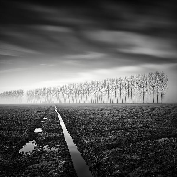 Lines Of Nature by Pierre Pellegrini