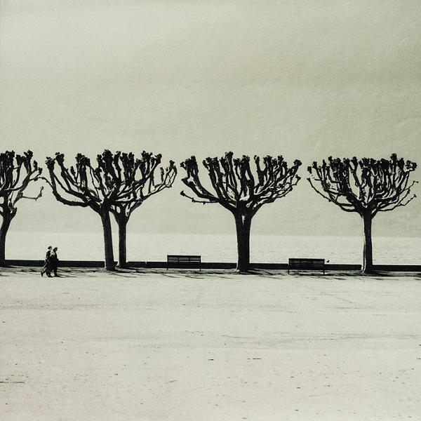 Les Contes De L'arbre Fou by C&eacute;line M
