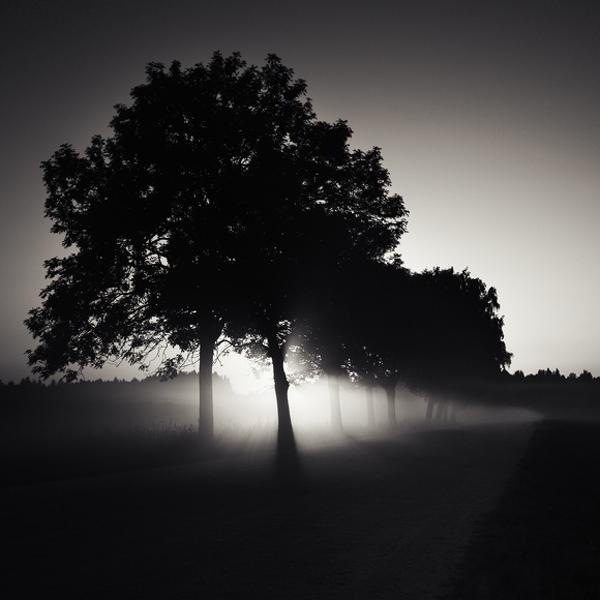 Silk Road by Mindaugas Gabrenas