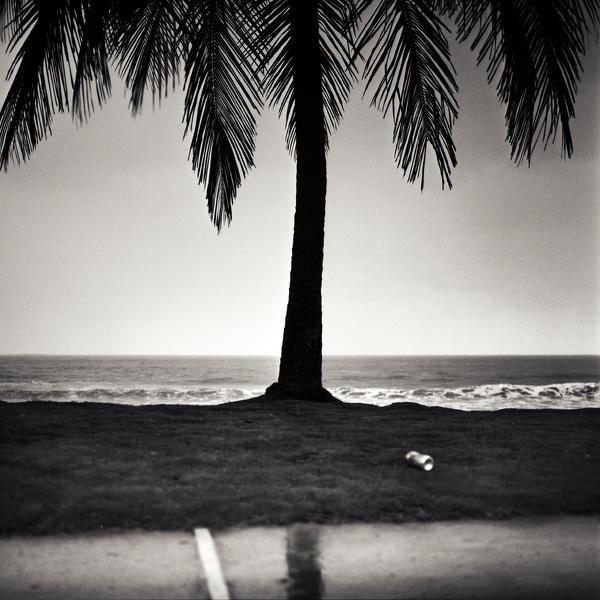 Can by Mindaugas Gabrenas