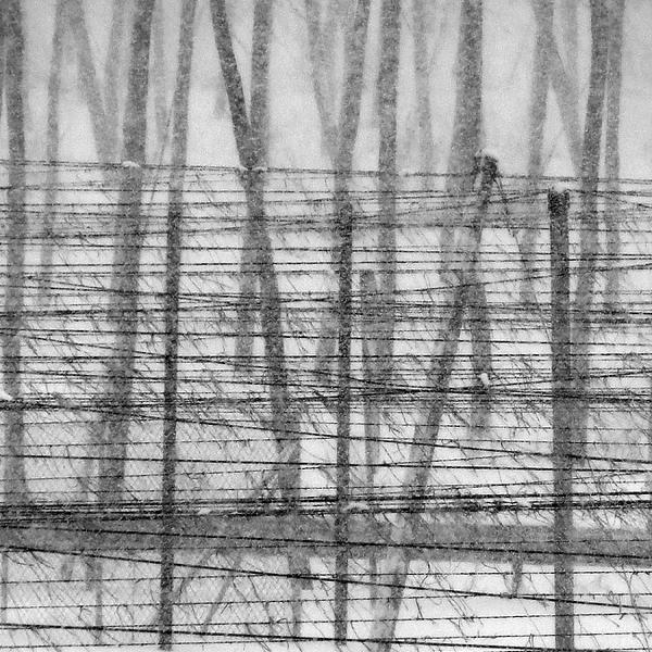 Winter Time 3 by Jure Kravanja