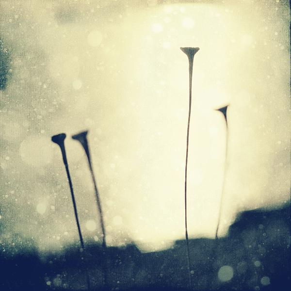 iiIi by Martina Skrobot