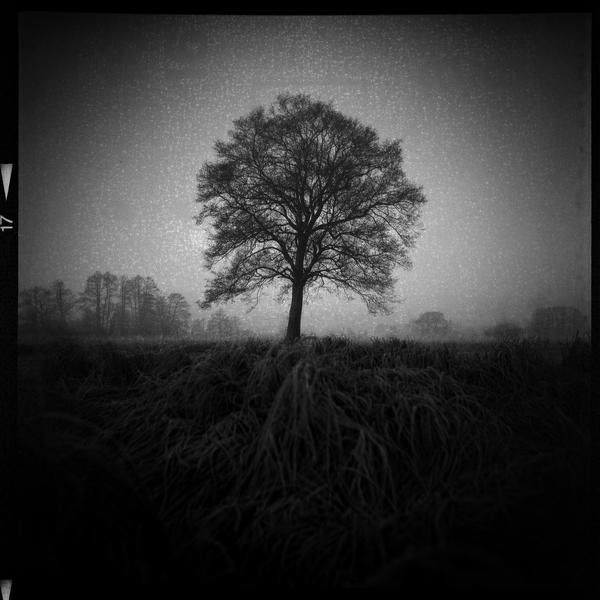 Untitled by Emil Kowalik