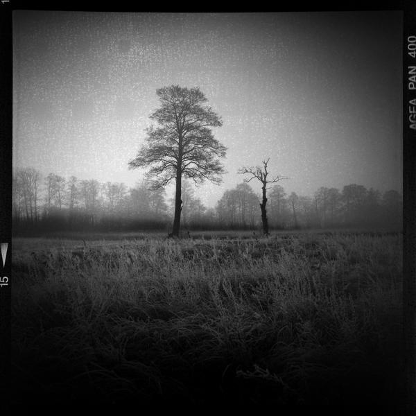 Untitled by Emil Kowalik