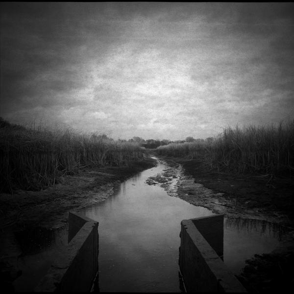 Untitled by Emil Kowalik