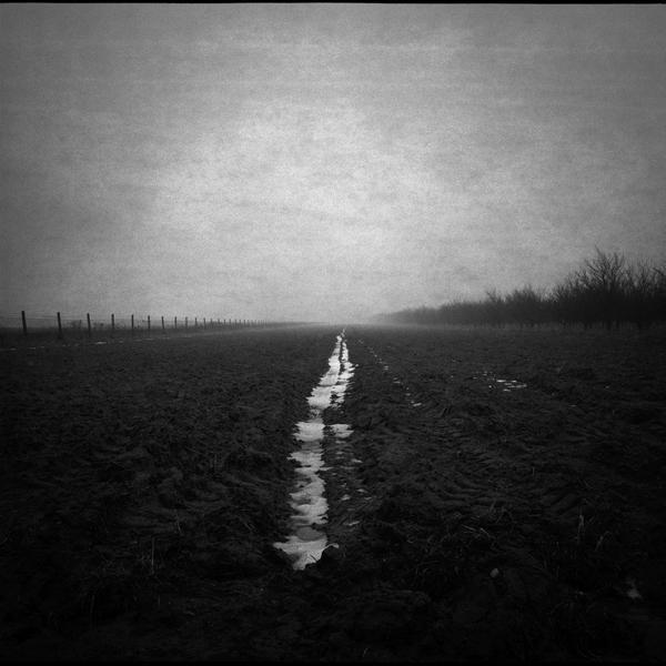 Untitled by Emil Kowalik