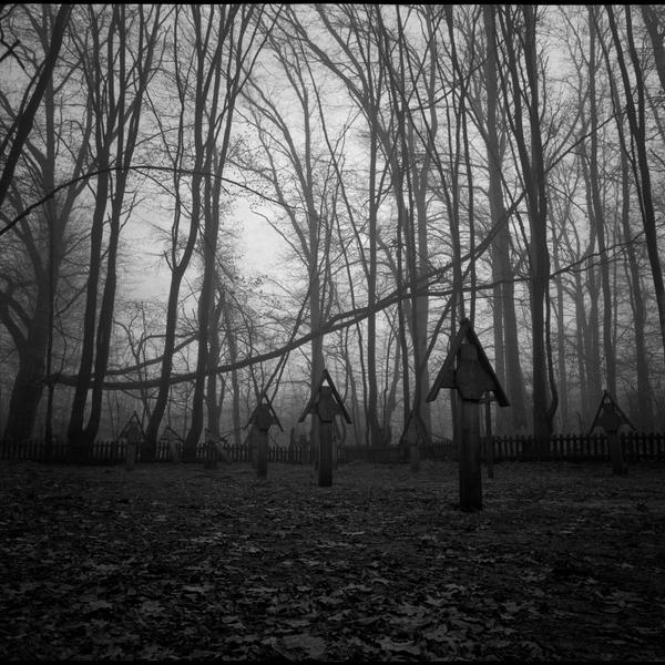 Untitled by Emil Kowalik