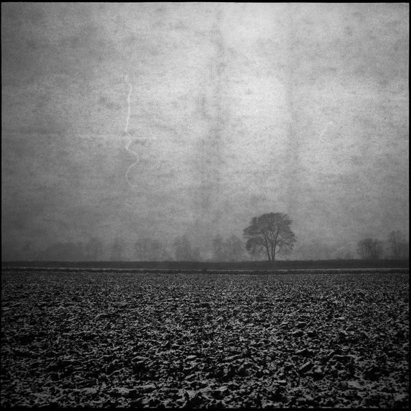 Untitled by Emil Kowalik