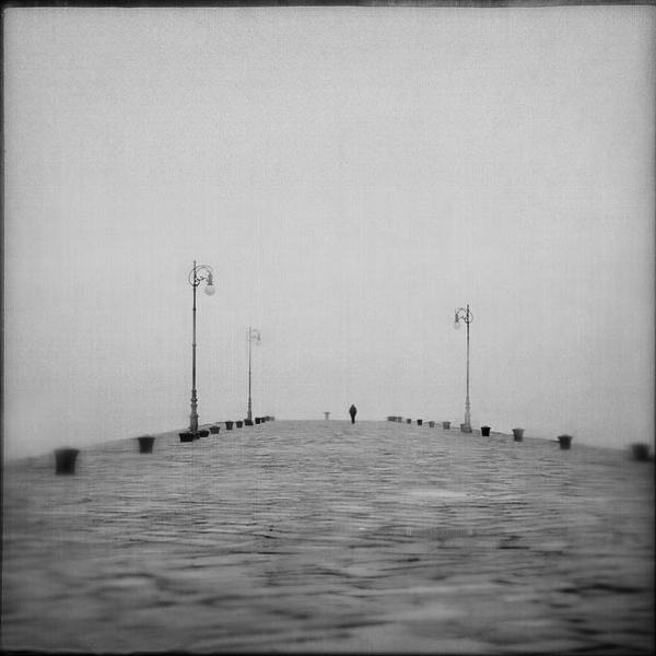 Untitled by Virginia Fragiacomo
