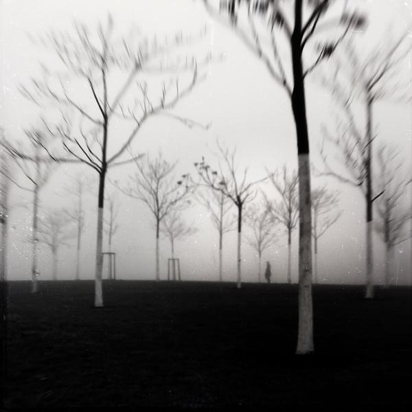 Dialogue Avec Des Arbres by Rumen Petkov