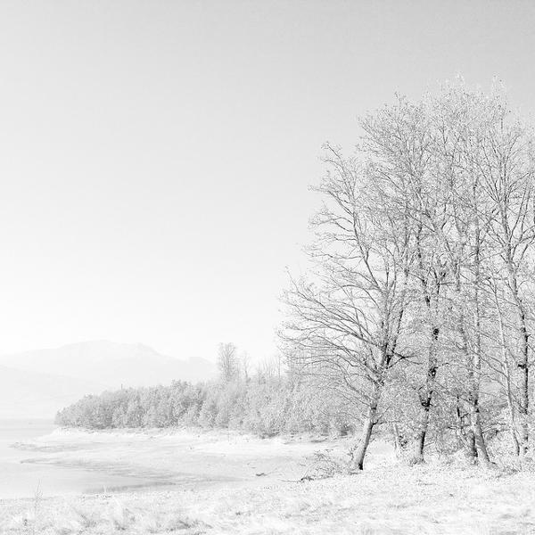 White Ink Over The Woods by Vangelis Bagiatis