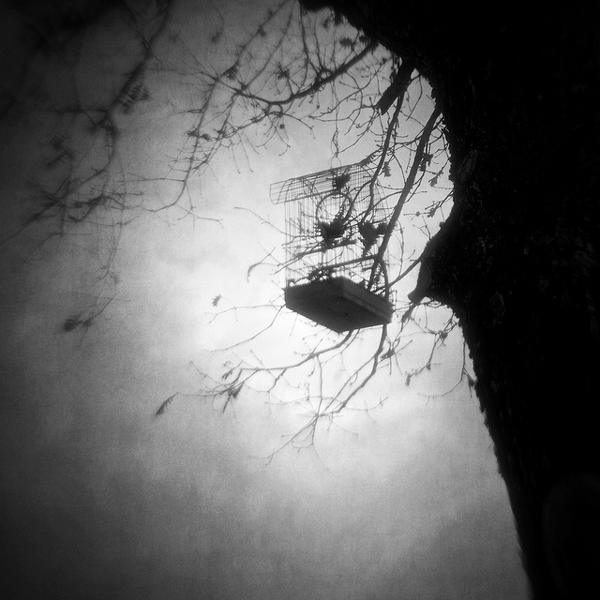 Set My Mind Free by Vangelis Bagiatis