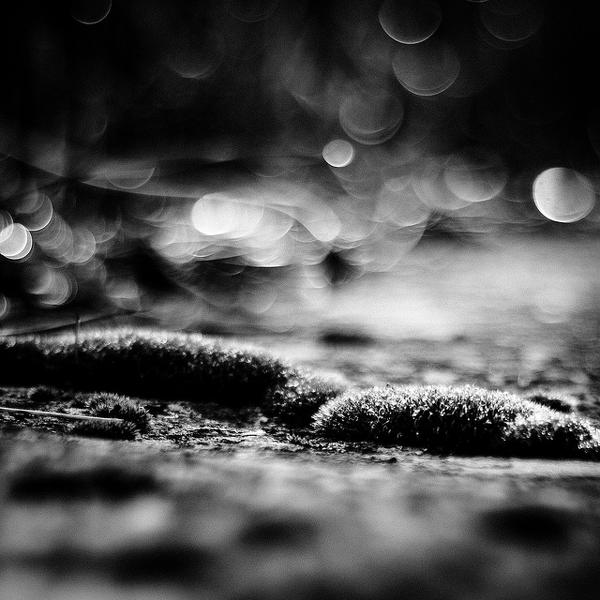 An Outcast Generation by Vangelis Bagiatis