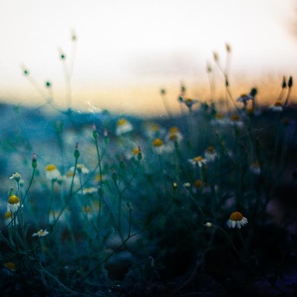 Rise And Fall by Vangelis Bagiatis
