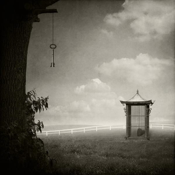 The magic tree par Jeannette Woitzik