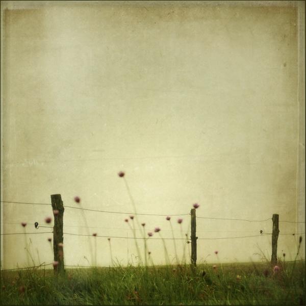 A U T U M N * T R I S T E S S E by Ramona G