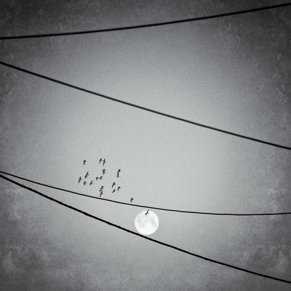 Moon Gamme by Jose Barrachina