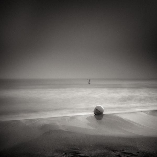 The Winner by Jose Barrachina