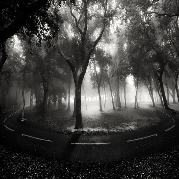Curve by Fabrice Silly