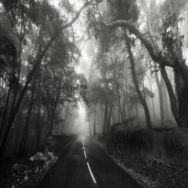 Sintra by Fabrice Silly