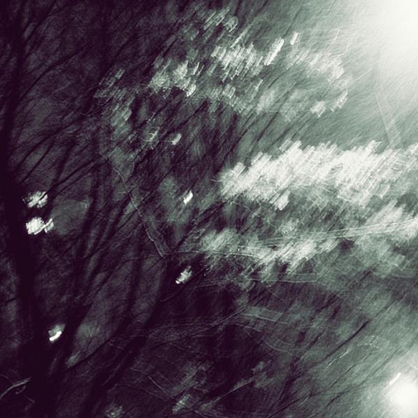 Miserable Beauty by Andrea Black
