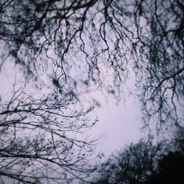 Just Tell Me by Andrea Black